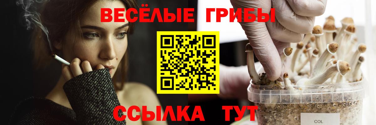 Псилоцибиновые грибы Psilocybine cubensis Ангарск